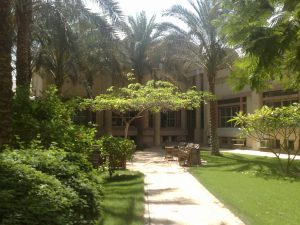 palmeraie2010